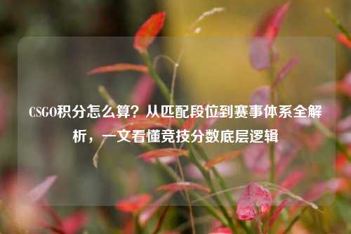 CSGO积分怎么算?从匹配段位到赛事体系全解析,一文看懂竞技分数底层逻辑