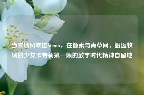 当牧场风吹进Steam，在像素与青草间，邂逅牧场的少女卡特莉第一集的数字时代精神自留地