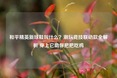 和平精英新球鞋叫什么?潮玩竞技联动款全解析 穿上它助你把把吃鸡