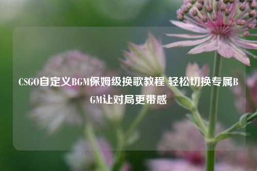 CSGO自定义BGM保姆级换歌教程 轻松切换专属BGM让对局更带感