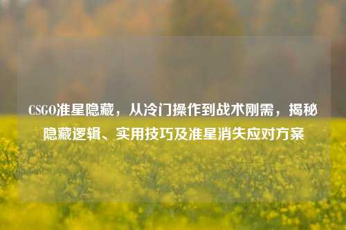 CSGO准星隐藏,从冷门操作到战术刚需,揭秘隐藏逻辑、实用技巧及准星消失应对方案