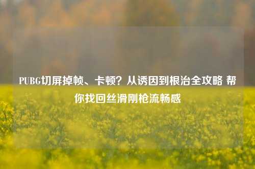 PUBG切屏掉帧、卡顿？从诱因到根治全攻略 帮你找回丝滑刚枪流畅感