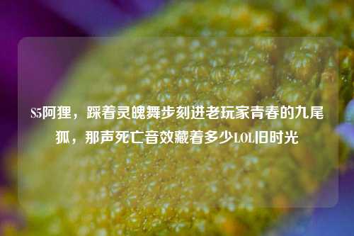 S5阿狸,踩着灵魄舞步刻进老玩家青春的九尾狐,那声死亡音效藏着多少LOL旧时光