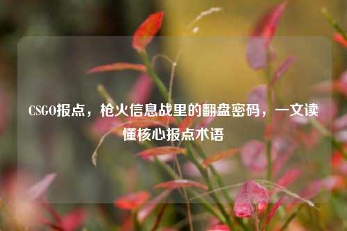 CSGO报点,枪火信息战里的翻盘密码,一文读懂核心报点术语