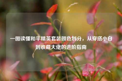 一图读懂和平精英套装颜色划分,从穿搭小白到收藏大佬的进阶指南