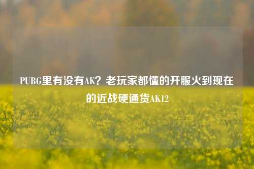 PUBG里有没有AK?老玩家都懂的开服火到现在的近战硬通货AK12