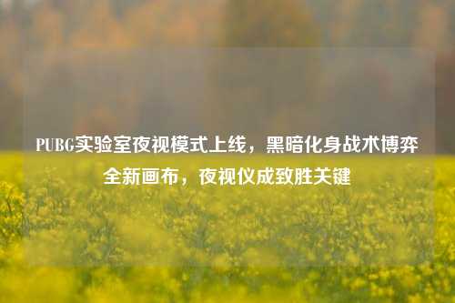 PUBG实验室夜视模式上线,黑暗化身战术博弈全新画布,夜视仪成致胜关键