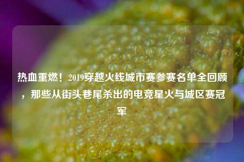 热血重燃!2019穿越火线城市赛参赛名单全回顾,那些从街头巷尾杀出的电竞星火与城区赛冠军