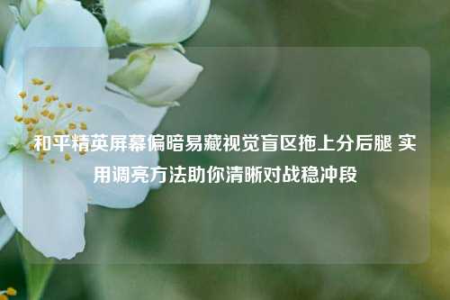 和平精英屏幕偏暗易藏视觉盲区拖上分后腿 实用调亮方法助你清晰对战稳冲段