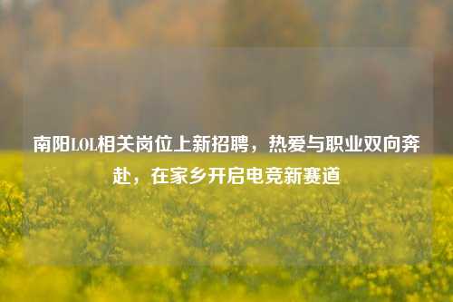 南阳LOL相关岗位上新招聘,热爱与职业双向奔赴,在家乡开启电竞新赛道
