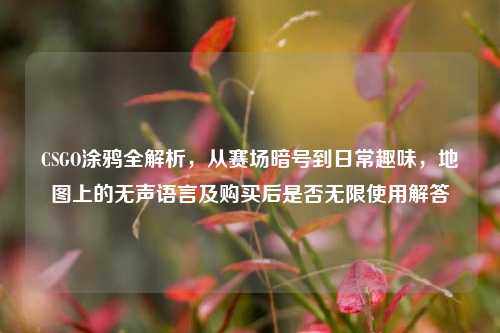 CSGO涂鸦全解析,从赛场暗号到日常趣味,地图上的无声语言及购买后是否无限使用解答