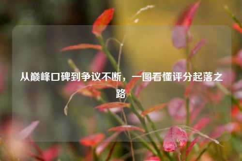 从巅峰口碑到争议不断,一图看懂评分起落之路