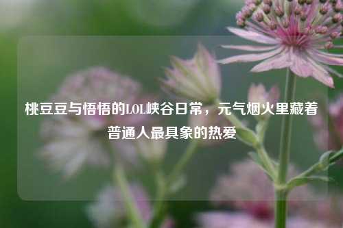 桃豆豆与悟悟的LOL峡谷日常,元气烟火里藏着普通人最具象的热爱