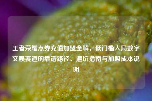 王者荣耀点券充值加盟全解,低门槛入局数字文娱赛道的靠谱路径、避坑指南与加盟成本说明