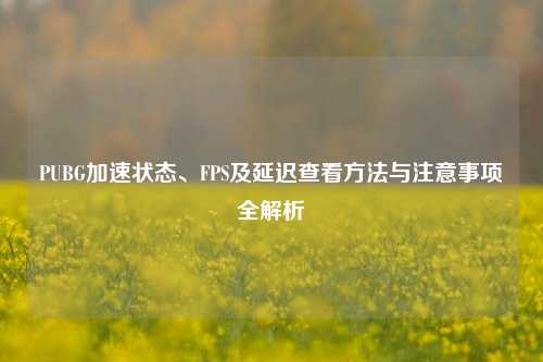 PUBG加速状态、FPS及延迟查看方法与注意事项全解析