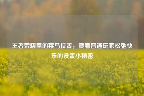 王者荣耀里的菜鸟位置,藏着普通玩家松弛快乐的设置小秘密