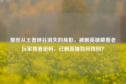 那些从王者峡谷消失的身影,被删英雄藏着老玩家青春密码,已删英雄如何找回?