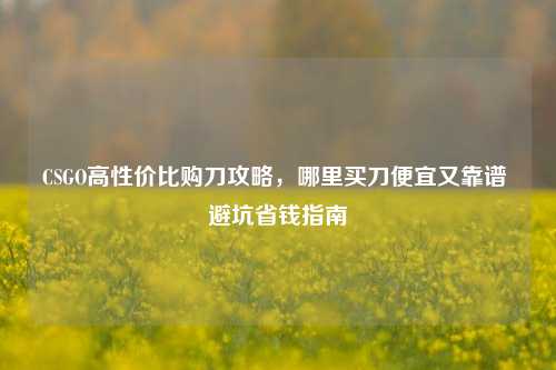 CSGO高性价比购刀攻略,哪里买刀便宜又靠谱 避坑省钱指南