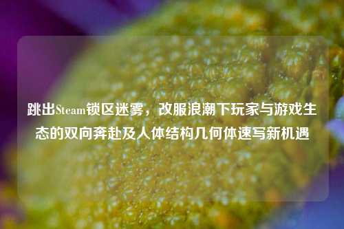 跳出Steam锁区迷雾,改服浪潮下玩家与游戏生态的双向奔赴及人体结构几何体速写新机遇