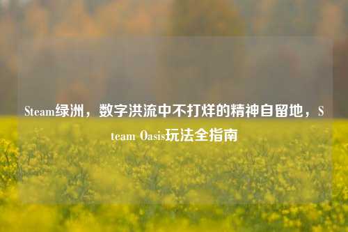 Steam绿洲，数字洪流中不打烊的精神自留地，Steam Oasis玩法全指南