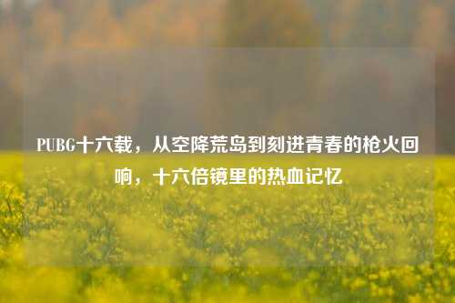 PUBG十六载,从空降荒岛到刻进青春的枪火回响,十六倍镜里的热血记忆
