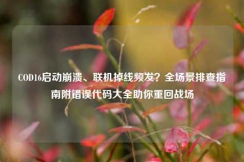 COD16启动崩溃、联机掉线频发？全场景排查指南附错误代码大全助你重回战场