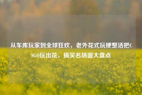 从车库玩家到全球狂欢,老外花式玩梗整活把CSGO玩出花,搞笑名场面大盘点