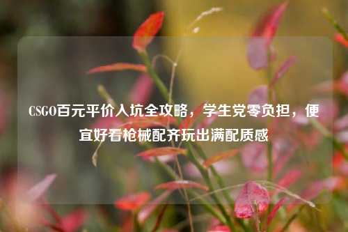 CSGO百元平价入坑全攻略,学生党零负担,便宜好看枪械配齐玩出满配质感