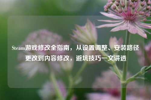 Steam游戏修改全指南,从设置调整、安装路径更改到内容修改,避坑技巧一文讲透