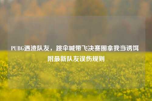 PUBG遇渣队友,跳伞喊带飞决赛圈拿我当诱饵 附最新队友误伤规则
