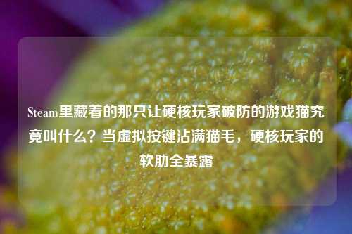 Steam里藏着的那只让硬核玩家破防的游戏猫究竟叫什么?当虚拟按键沾满猫毛,硬核玩家的软肋全暴露