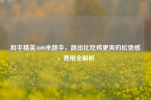 和平精英3600米跳伞,跳出比吃鸡更爽的松弛感,费用全解析