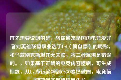 首先需要说明的是,乌兹通常是国内电竞爱好者对英雄联盟职业选手Uzi(简自豪)的昵称,和乌兹别克斯坦并无关联,将二者混淆是错误的。,如果基于正确的电竞内容逻辑,可生成标题,从Uzi永远滴神到CSGO赛场破圈,电竞信仰如何实现跨项目生长