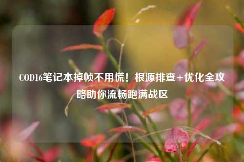 COD16笔记本掉帧不用慌!根源排查+优化全攻略助你流畅跑满战区