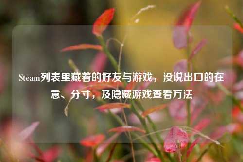 Steam列表里藏着的好友与游戏,没说出口的在意、分寸,及隐藏游戏查看方法