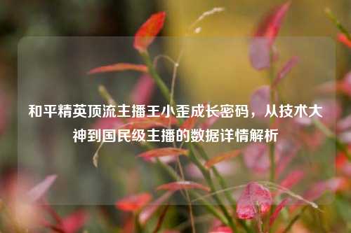 和平精英顶流主播王小歪成长密码,从技术大神到国民级主播的数据详情解析