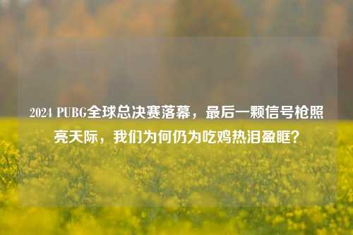 2024 PUBG全球总决赛落幕,最后一颗信号枪照亮天际,我们为何仍为吃鸡热泪盈眶?