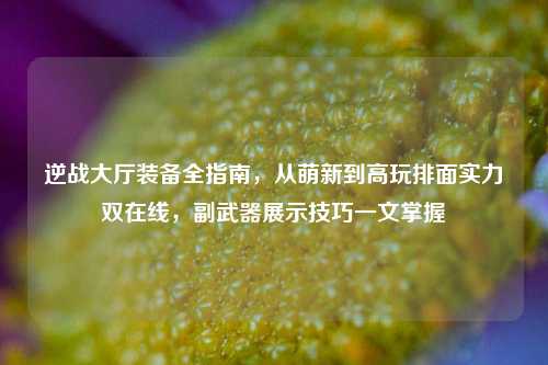 逆战大厅装备全指南,从萌新到高玩排面实力双在线,副武器展示技巧一文掌握