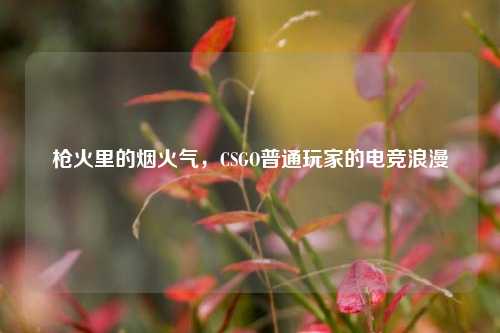 枪火里的烟火气,CSGO普通玩家的电竞浪漫