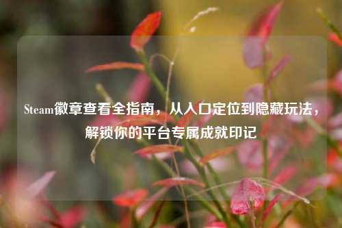 Steam徽章查看全指南,从入口定位到隐藏玩法,解锁你的平台专属成就印记
