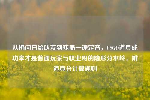 从扔闪白给队友到残局一锤定音,CSGO道具成功率才是普通玩家与职业哥的隐形分水岭,附道具分计算规则