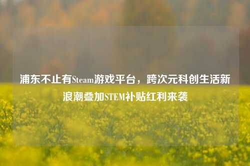 浦东不止有Steam游戏平台,跨次元科创生活新浪潮叠加STEM补贴红利来袭