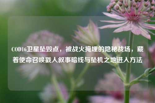 COD16卫星坠毁点，被战火掩埋的隐秘战场，藏着使命召唤戳人叙事暗线与坠机之地进入方法