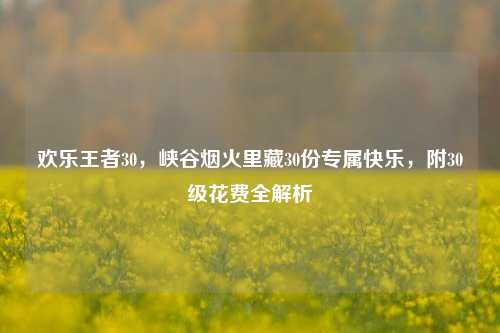 欢乐王者30,峡谷烟火里藏30份专属快乐,附30级花费全解析