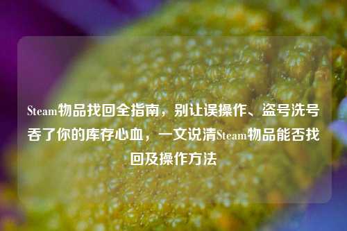 Steam物品找回全指南,别让误操作、盗号洗号吞了你的库存心血,一文说清Steam物品能否找回及操作方法