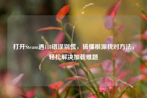 打开Steam遇118错误别慌,搞懂根源找对方法,轻松解决加载难题