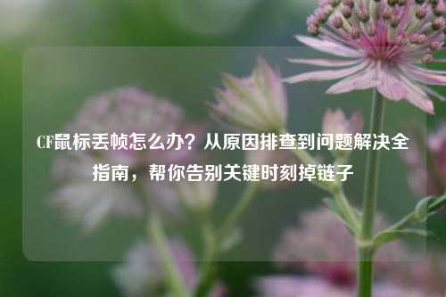 CF鼠标丢帧怎么办?从原因排查到问题解决全指南,帮你告别关键时刻掉链子