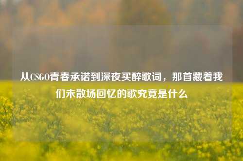 从CSGO青春承诺到深夜买醉歌词,那首藏着我们未散场回忆的歌究竟是什么