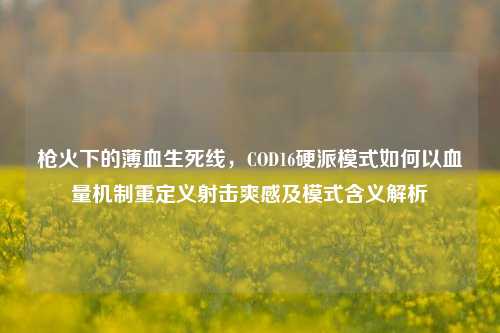 枪火下的薄血生死线,COD16硬派模式如何以血量机制重定义射击爽感及模式含义解析