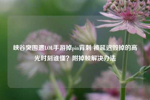 峡谷突围遭LOL手游掉pin背刺 被延迟毁掉的高光时刻谁懂?附掉帧解决办法